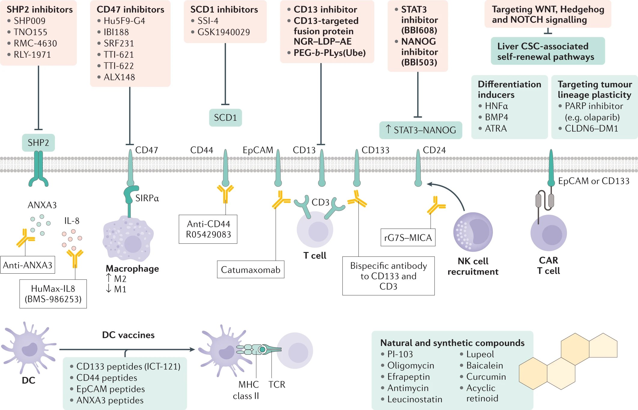 41575_2021_508_Fig4_HTML